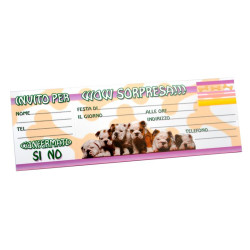 Blocchetto 15 inviti festa Blocchetto 15 inviti festa