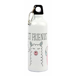 Borraccia decorata alluminio 500ml 