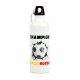 Borraccia decorata alluminio 500ml 