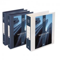 Raccoglitore BLU 4 anelli 