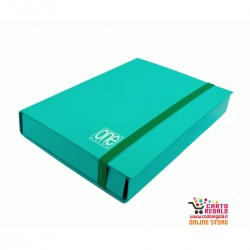 Cartellina con elastico spessore cm 5 VERDE CHIARO Cartellina con elastico spessore cm 5 VERDE CHIARO