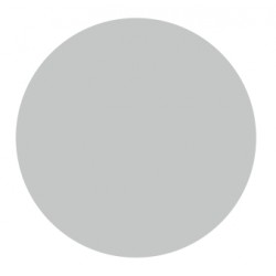 Foglio 70 etichette adesive tonde ARGENTO mm 25