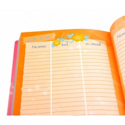 Diario scuola WINX 12 mesi Diario scuola WINX 12 mesi