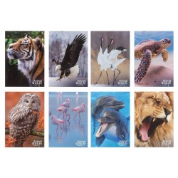 10 quadernoni maxi ANIMAL WILD LIFE 10 quadernoni maxi ANIMAL WILD LIFE