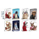 Quaderni maxi 80gr PET FILM 10pz