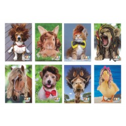 10 quadernoni maxi PET A' PORTER 1R 10 quadernoni maxi PET A' PORTER 1R