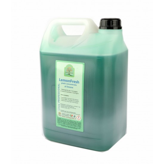 5 litri Detersivo piatti a mano concentrato LEMON FRESH