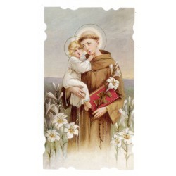 Santino San Francesco